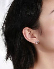 Starfish shell earrings , Sea star earrings , Rose gold studs, Sterling Silver, S925, Dainty, Gift for her