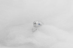 Smiling Whale Ocean Beluga Ring
