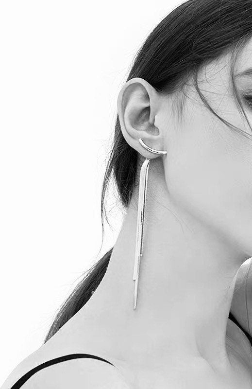 Sleek Tassel Dangle Earrings